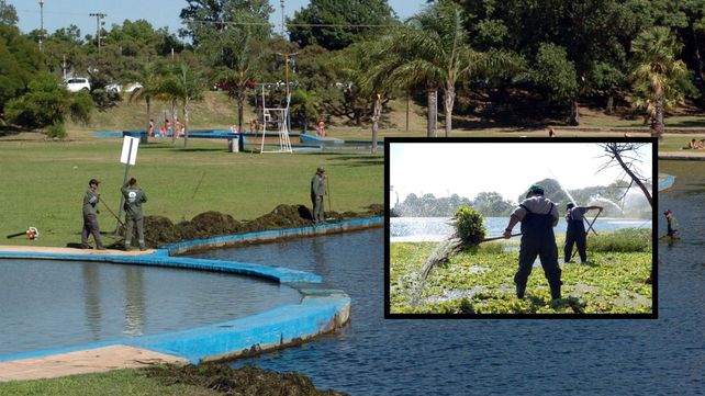 Volvieron los repollitos al lago del Parque del Sur y la Municipalidad activó un operativo intensivo de limpieza