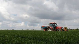 El mercado de fertilizantes se alteró con la guerra en el Mar Negro.