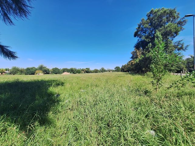 Dos barrios piden una cancha de golf en el Bosque de los Constituyentes