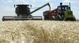 Las lluvias frenaron el inicio de la cosecha de trigo en el centro norte de Santa Fe