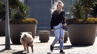 El tiempo en Rosario: un jueves ventoso pero con temperaturas en alza