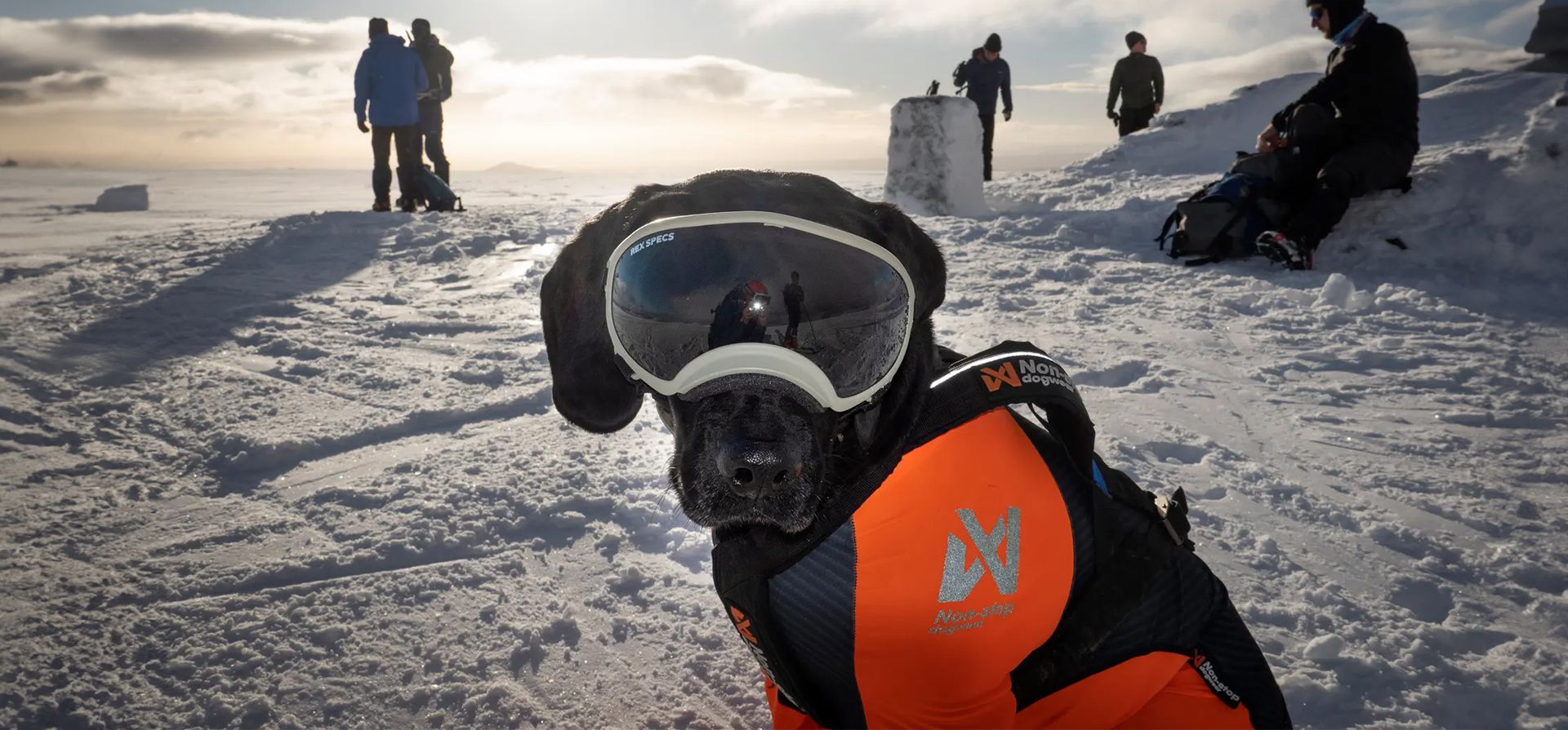 El esquiador Cieran Marschal y su perro Kai disfrutan de las condiciones climáticas favorables en las colinas cubiertas de nieve, Glenshee, Escocia. Fotografía: Murdo MacLeod/The Guardian El esquiador Cieran Marschal y su perro Kai disfrutan de las condiciones climáticas favorables en las colinas cubiertas de nieve, Glenshee, Escocia. Fotografía: Murdo MacLeod/The Guardian