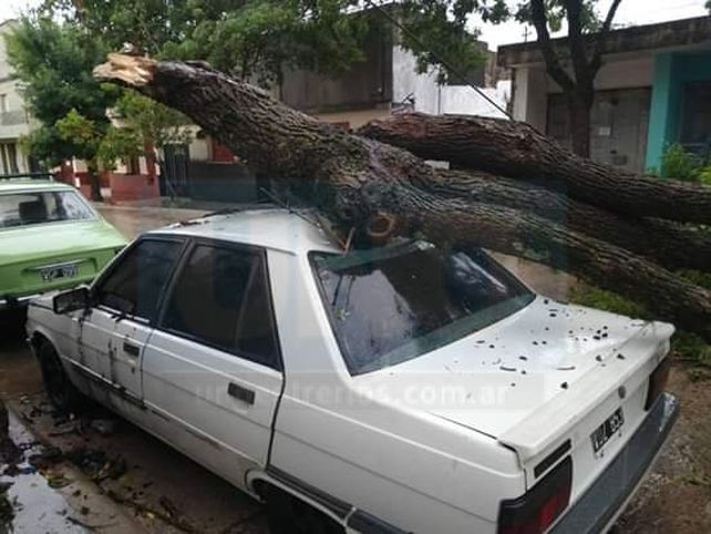 Fuerte tormenta con voladuras de techos, árboles caídos y autos aplastados