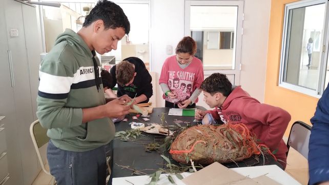 Estudiantes de Las Petacas enseñarán a la población a fabricar tabletas antimosquitos
