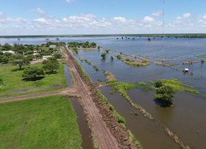 Para Greenpeace, las inundaciones serán recurrentes si no se frena la deforestación