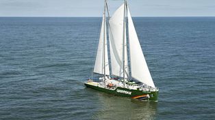 Greenpeace bot&oacute; su nueva joya de los mares, el Rainbow Warrior III