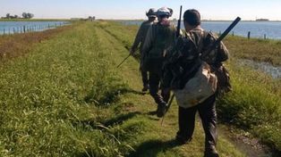 Fauna silvestre: sigue la depredación y los guardafaunas no dan abasto