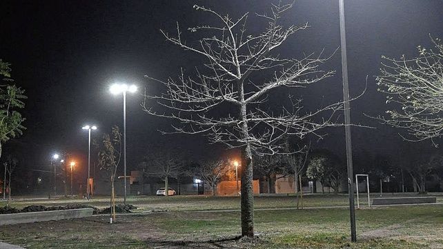 Trabajos de iluminación, arbolado y bacheo previstos para este viernes
