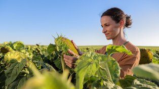 Syngenta presenta Las otras plagas.&nbsp;