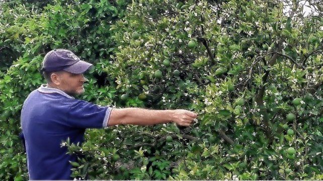 Profesionales da CONAE realizaron una campaña de campo en Chajarí