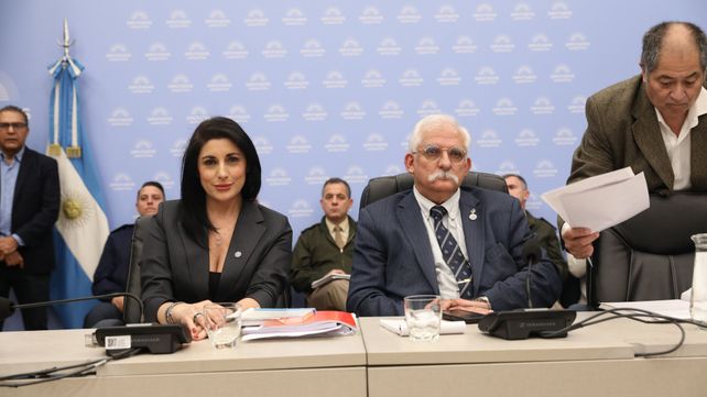 Los representantes de La Libertad Avanza tuvieron que hacer distintas concesiones a los aliados para conseguir el dictamen de la ley Malvinas.&nbsp;