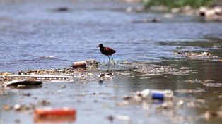 El vuelco al río de los efluentes cloacales sin tratar impacta en la salud y el ambiente