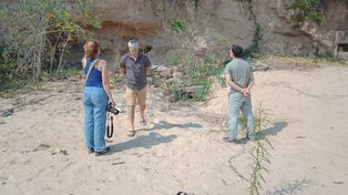 The waters go down and they find fossil remains of glyptodonts in the ravines