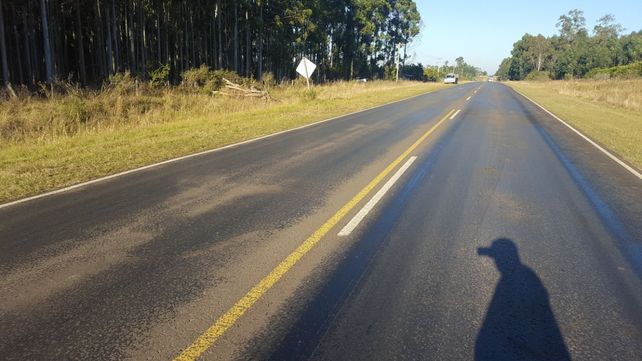 Despistó y chocó contra un árbol en la ruta 2