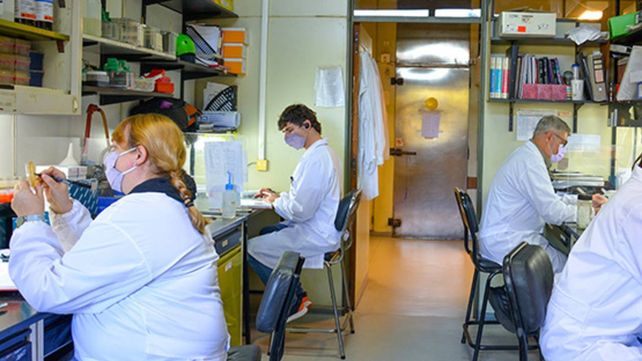 Las investigaciones preclínicas arrojaron resultados potentes y alentadores.