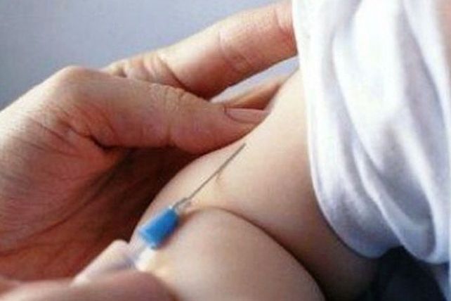 Desde el Ministerio de Salud informaron que no hay circulación del virus de la gripe