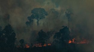 Acusan a 70 terratenientes y mineros de desatar el desastre