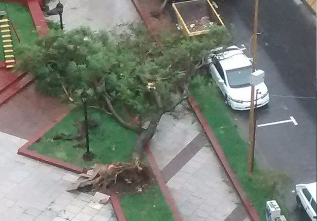 Así quedó la Plaza de Moreno y San Martín. Foto: Sol