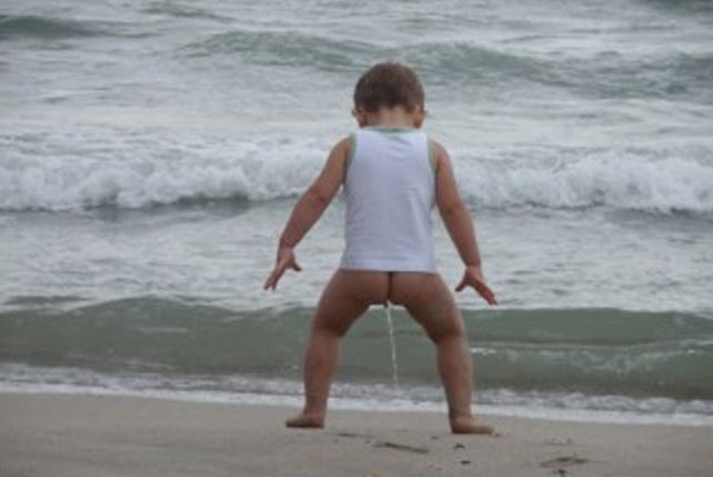 Hacer pis en el mar ayuda a la vida marina