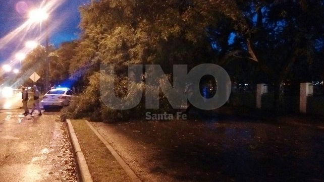 El temporal en Santa Fe dejó algunos árboles caídos y problemas en el tránsito