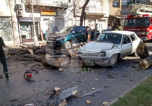Cayó un árbol sobre un auto en pleno Bulevar