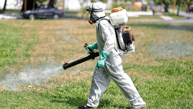 Trabajos de fumigación