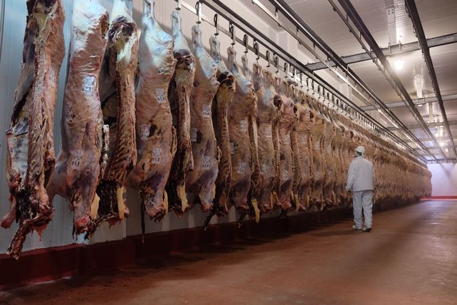 El complejo cárnico fue uno de los que presentó mayor incremento exportador en 2020.