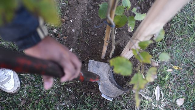 Trabajos de iluminación y bacheo previstos para este lunes