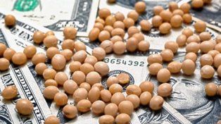 Bahillo descartó una baja de retenciones en granos y la implementación de un nuevo dólar soja