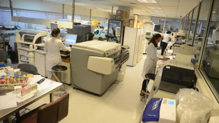 El laboratorio del CEMAR procesará muestras y realizará diagnósticos de&nbsp;Encefalitis Equina del Oeste
