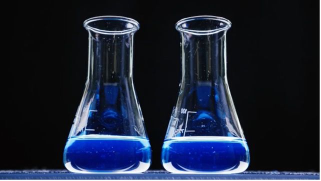 Líder en bioinnovación cerró alianza para desarrollar soluciones para la captura de carbono