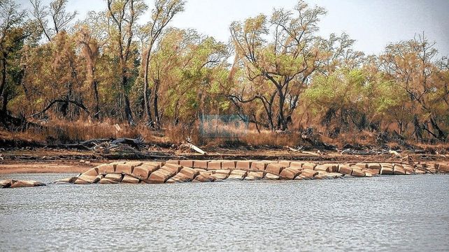 Biodiversidad. Ríos