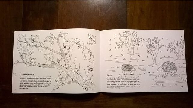 Este viernes el Club del Dibujo Paraná presenta Bicherío