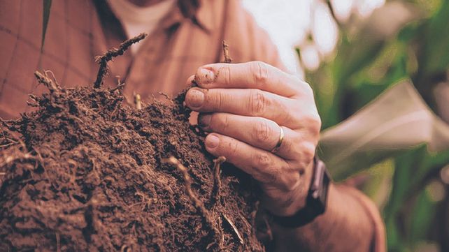 Ecosistema. El programa permite medir la captura de carbono en los suelos. Es una iniciativa conjunta entre el sector público