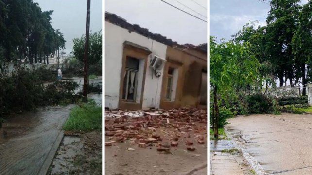 Tormenta en Diamante: el intendente no tiene ni motosierras