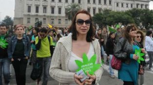 Si el Estado controla la venta de marihuana le quitará poder al narcotráfico