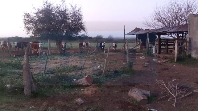 Imágenes contundentes de un jueves helado