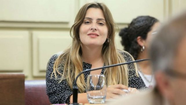 Es un día histórico para la democracia santafesina, señaló Cattalini tras aprobarse la ley de paridad
