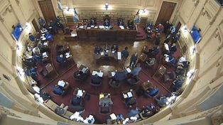 La Ley del Árbol se aprobó en la última sesión de la Cámara de Senadores de la provincia de Santa Fe.