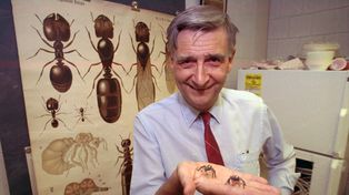 A los 92 años falleció el biólogo considerado el heredero natural de Darwin