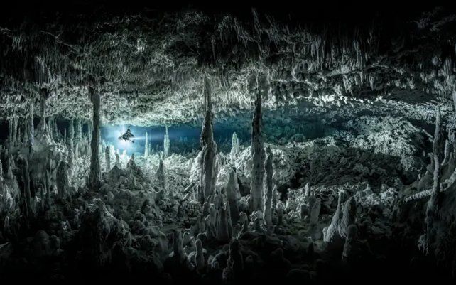 Cámara gótica de Martin Broen (EE. UU.), tomada en Cenote Monkey Dust, México.