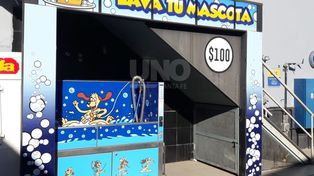 La ciudad tiene un lavadero de mascotas