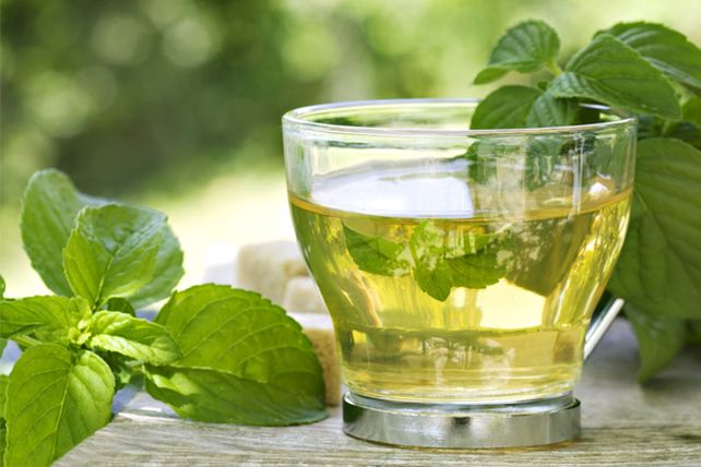 Descubren un nuevo beneficio del té verde