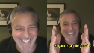 La increíble anécdota de George Clooney y el gato de su amigo Richard Kind