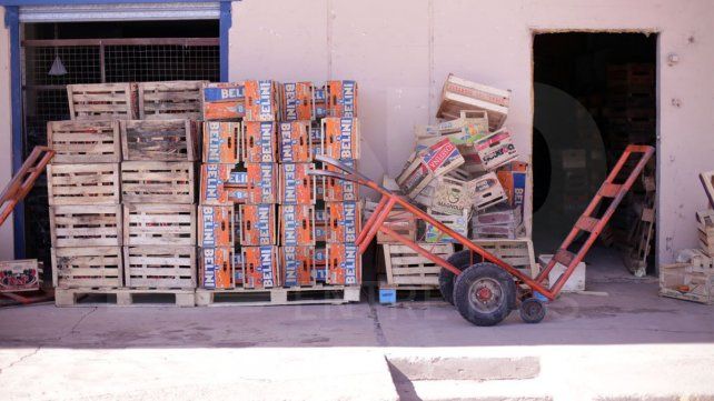 Verano en el Mercado Concentrador de Frutas y Verduras El Charrúa