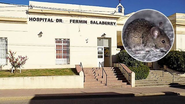 Se confirmó el fallecimiento de un paciente a causa de leptospirosis en Victoria y habría otros dos casos en estudio.