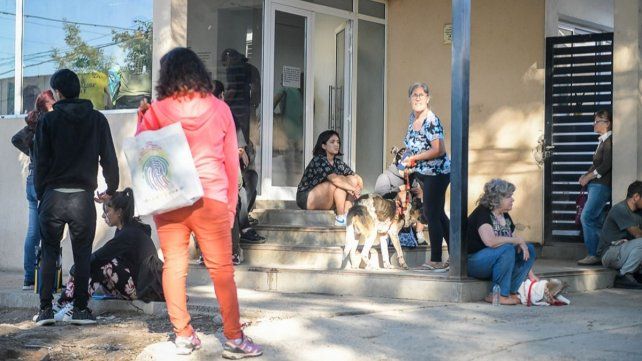 La Municipalidad de Paraná informó que en noviembre proseguirán los operativos de salud animal.&nbsp;