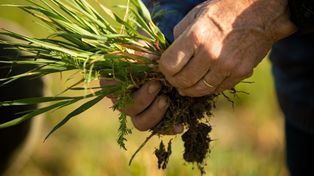 El proceso hacia una agricultura carbono neutral