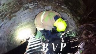 Bomberos rescataron a un perro que cayó en un pozo negro en Paraná