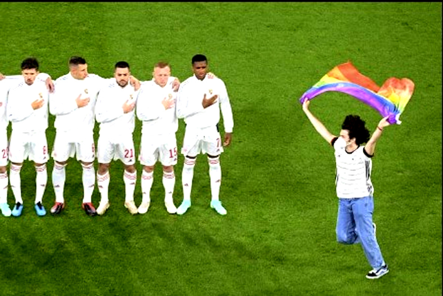 Un activista se metió en el campo de juego en Alemania-Hungría
